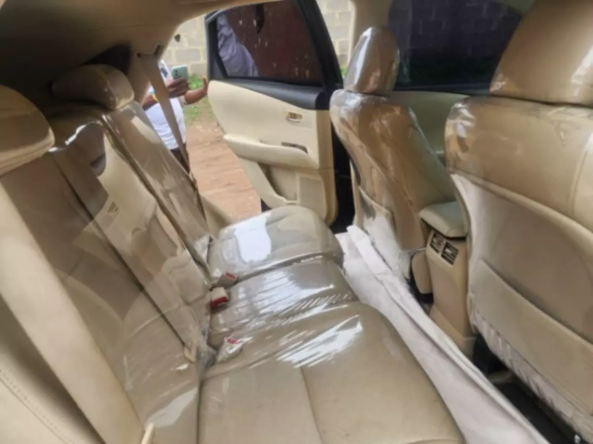 interiorBack