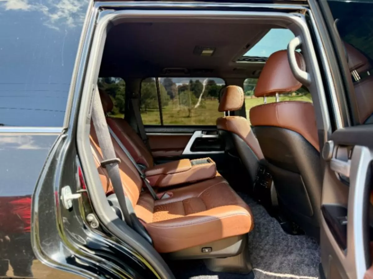 interiorBack