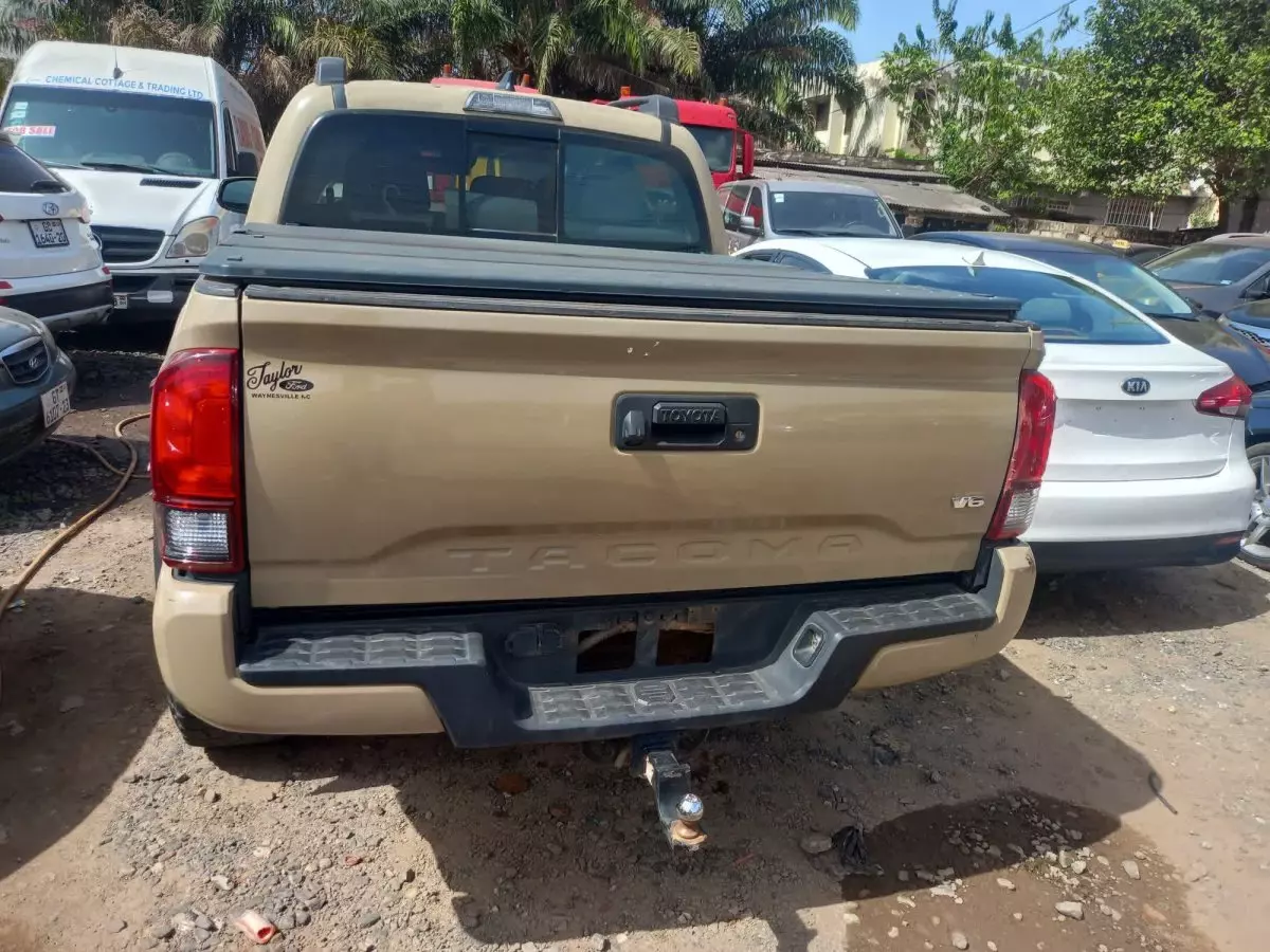 car Back
