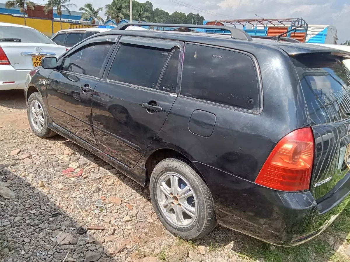 car Back