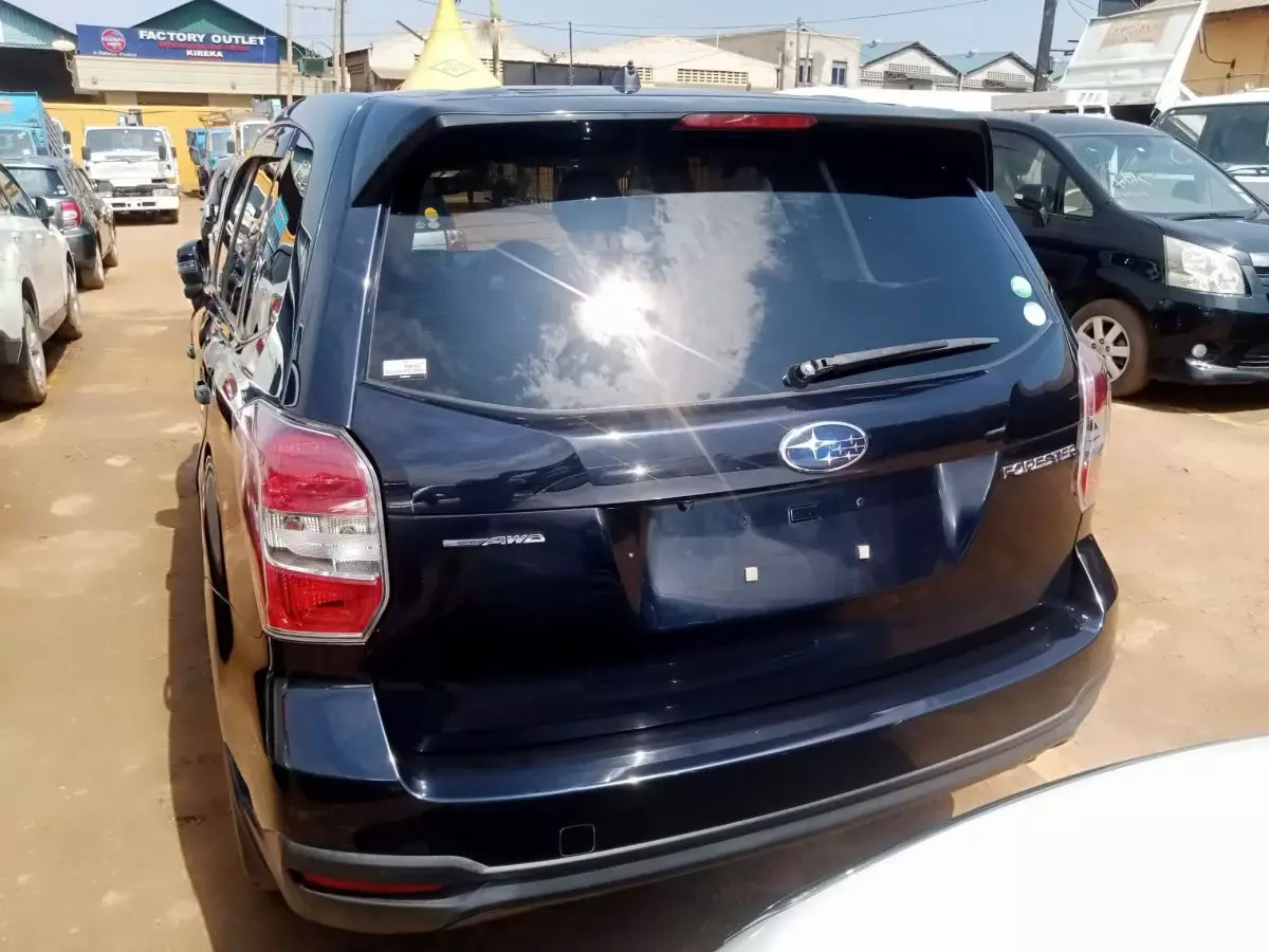 car Back