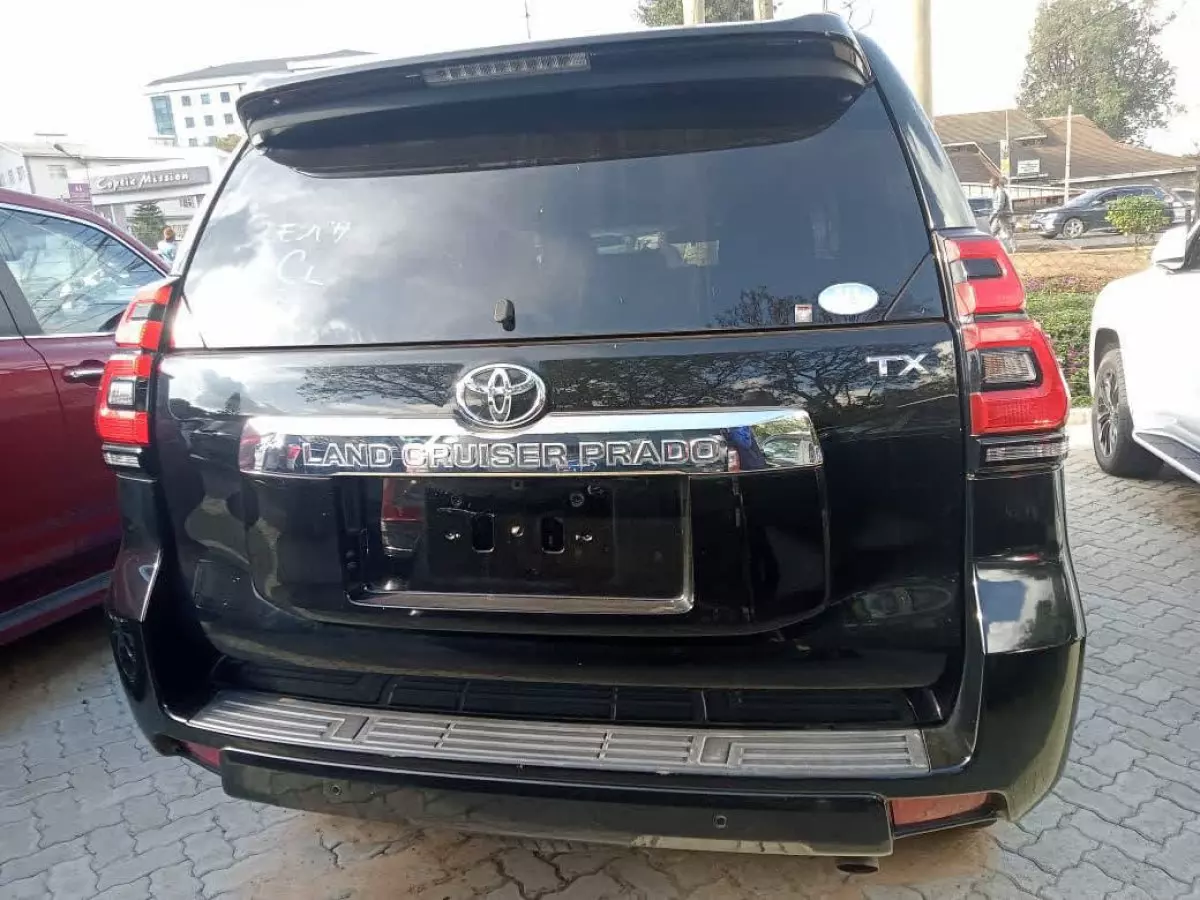 car Back