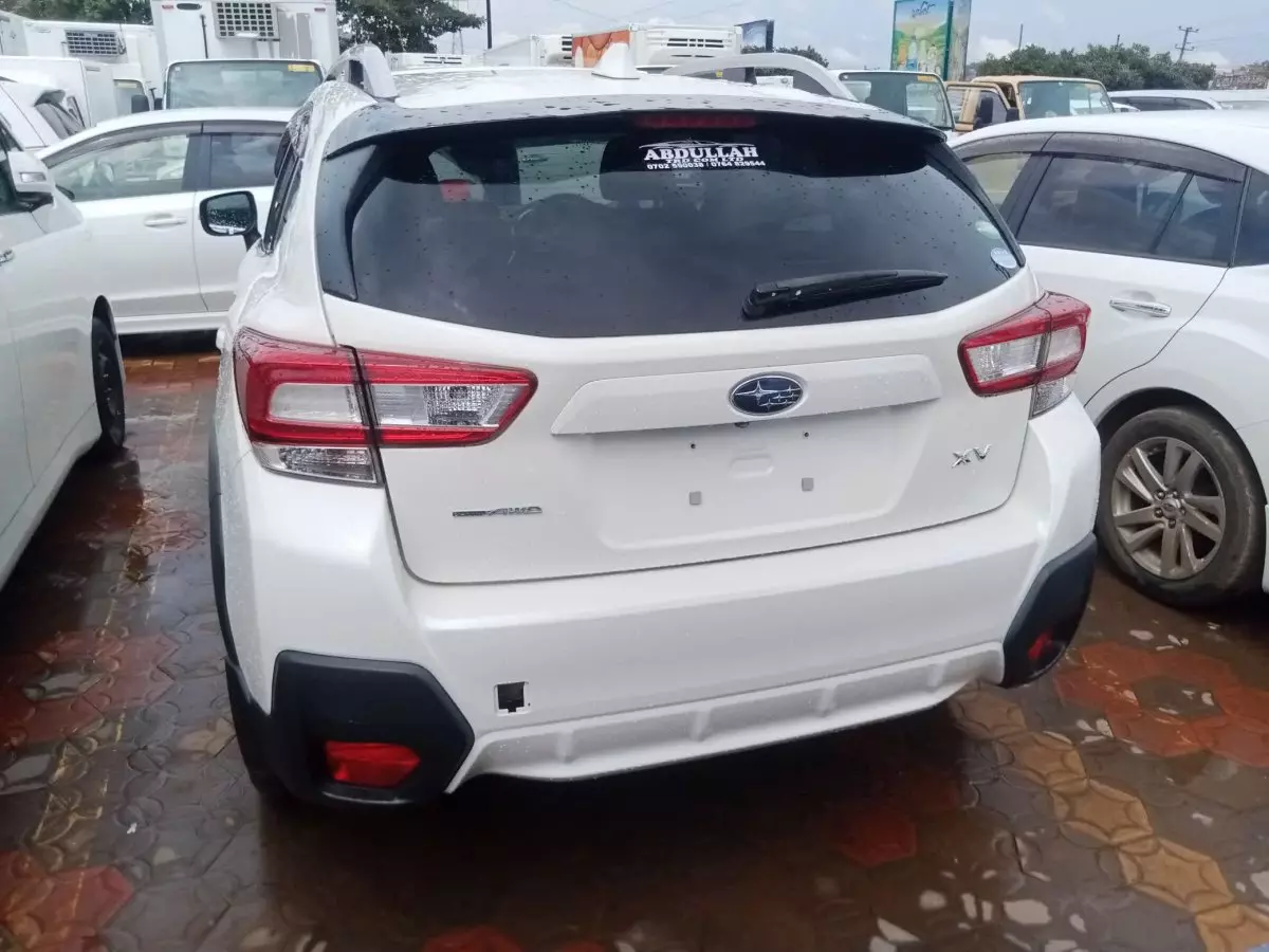 car Back