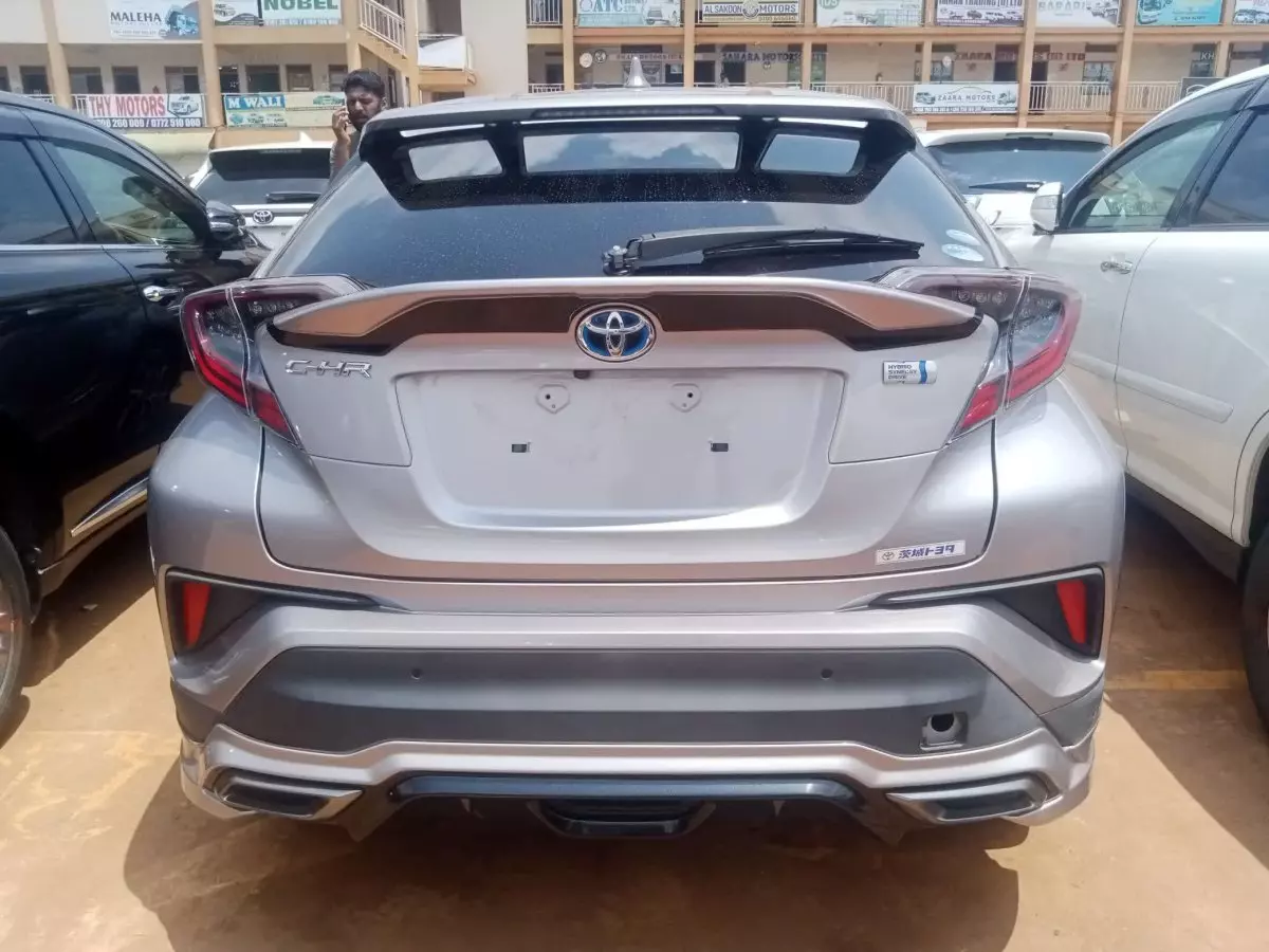 car Back