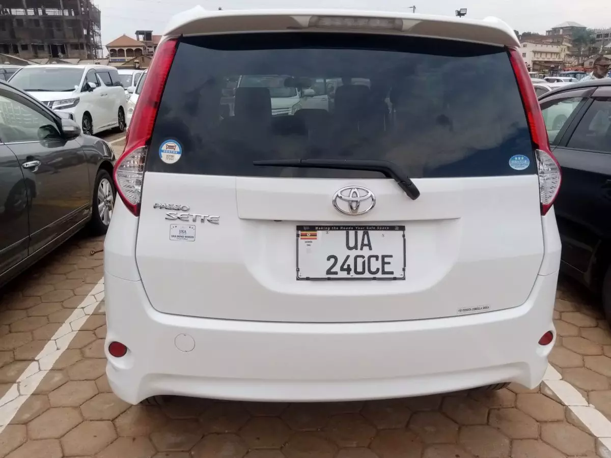 car Back