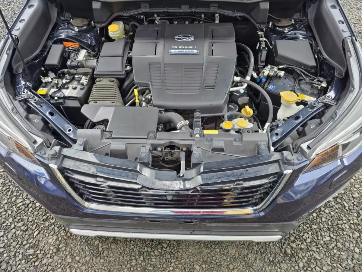 bonnet
