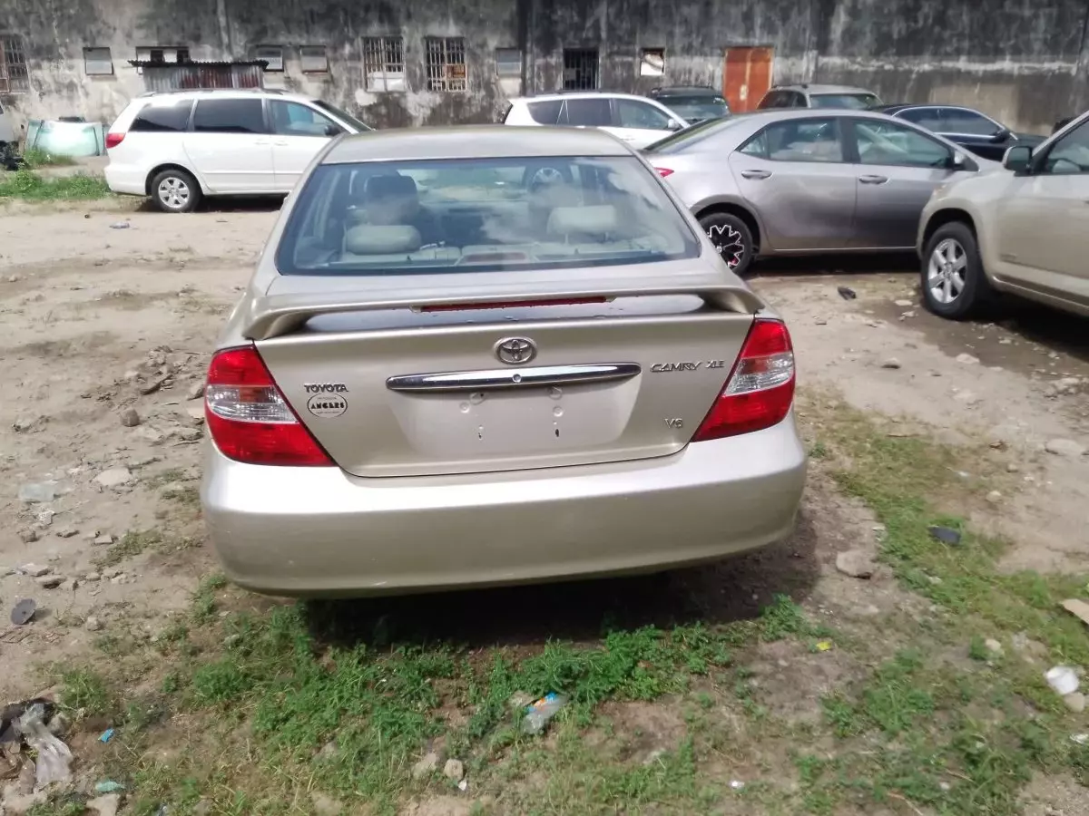 car Back