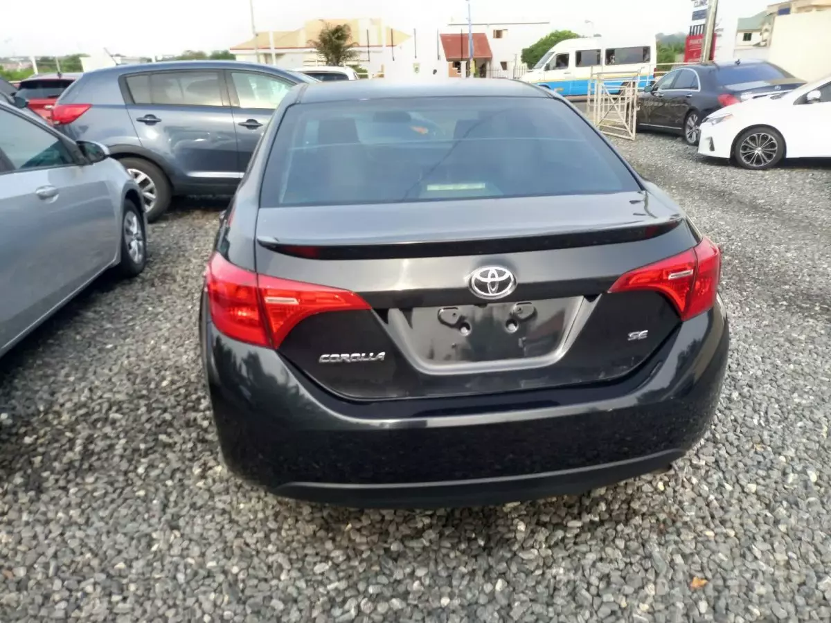 car Back