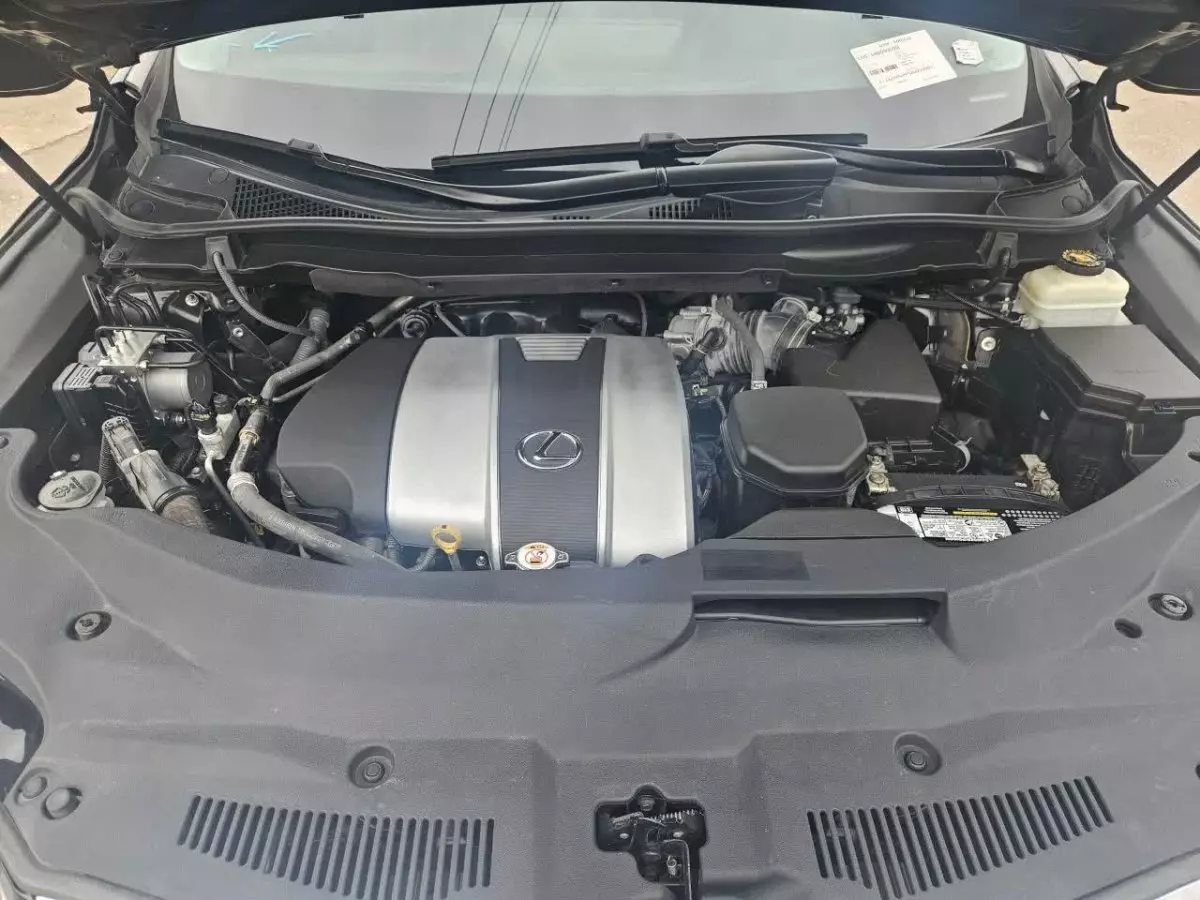 car Back