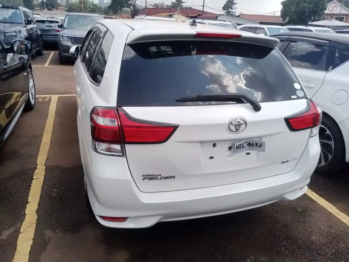 car Back