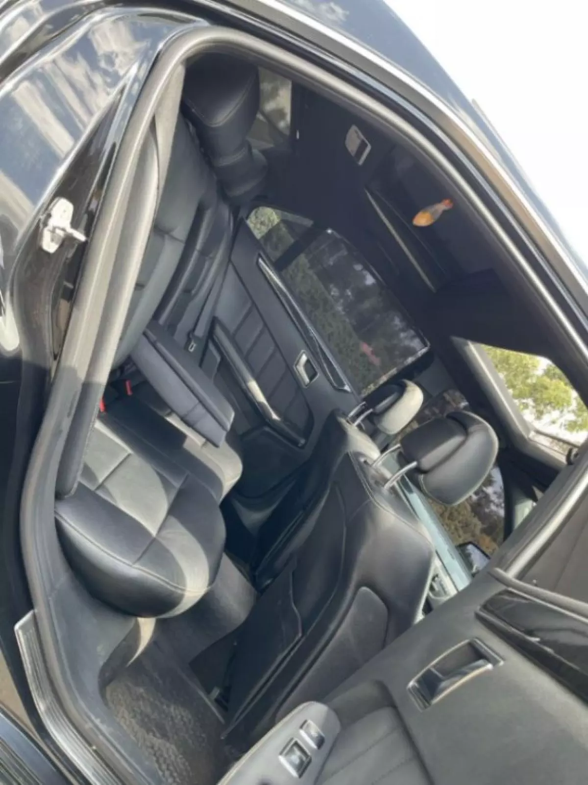 interiorBack