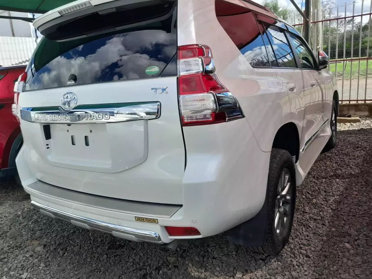 car Back