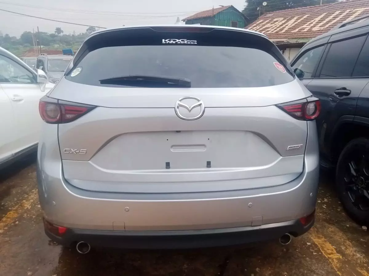 car Back