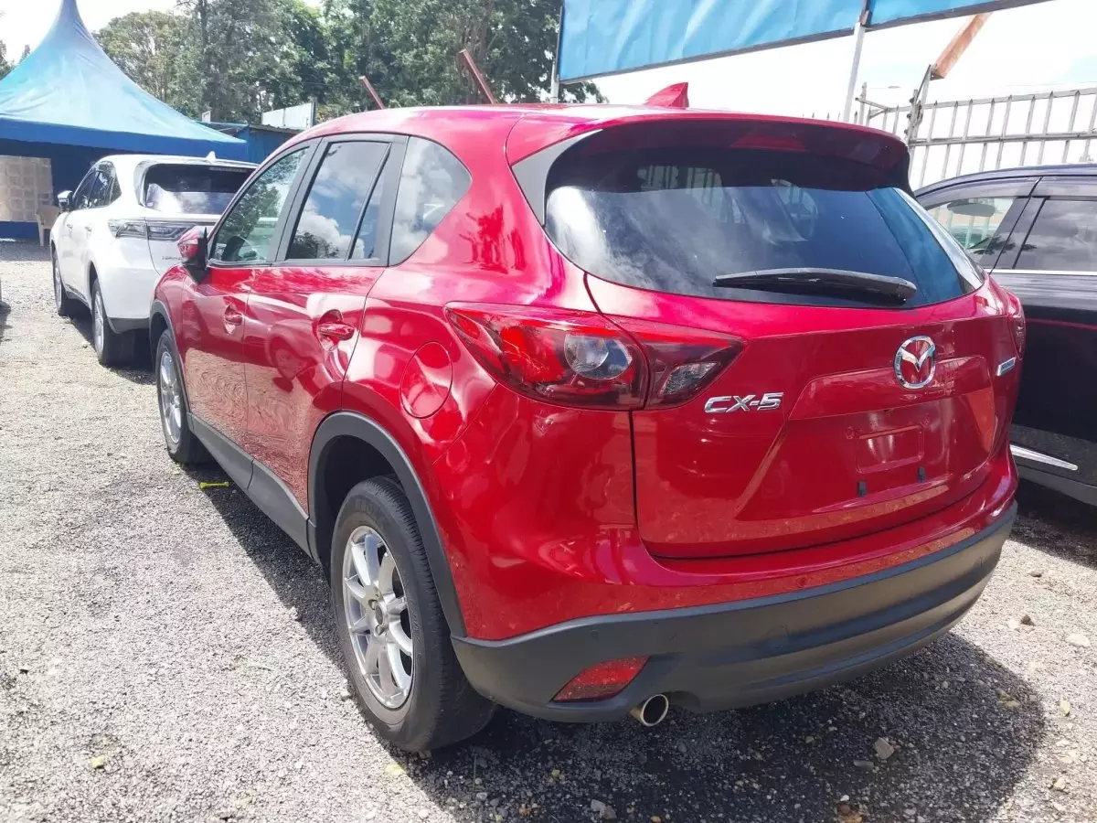 car Back
