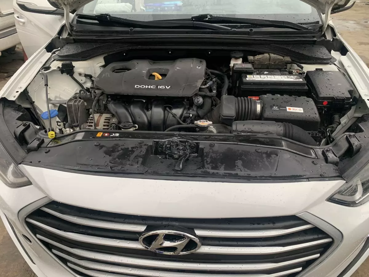 elantra