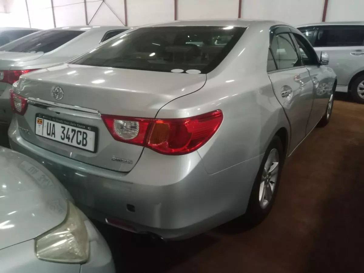 car Back