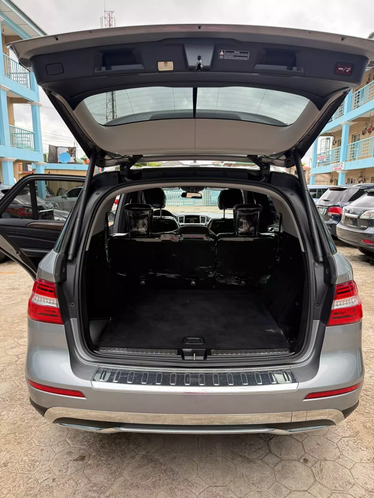 trunk