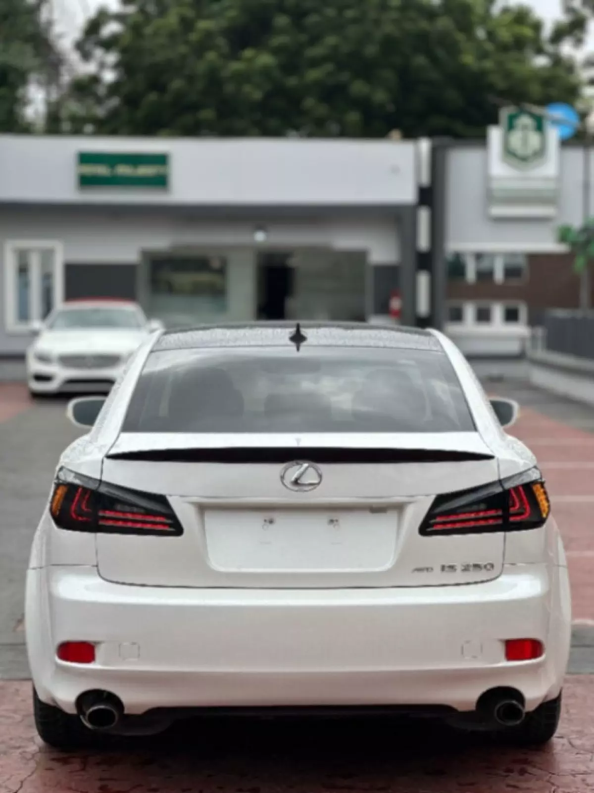 back