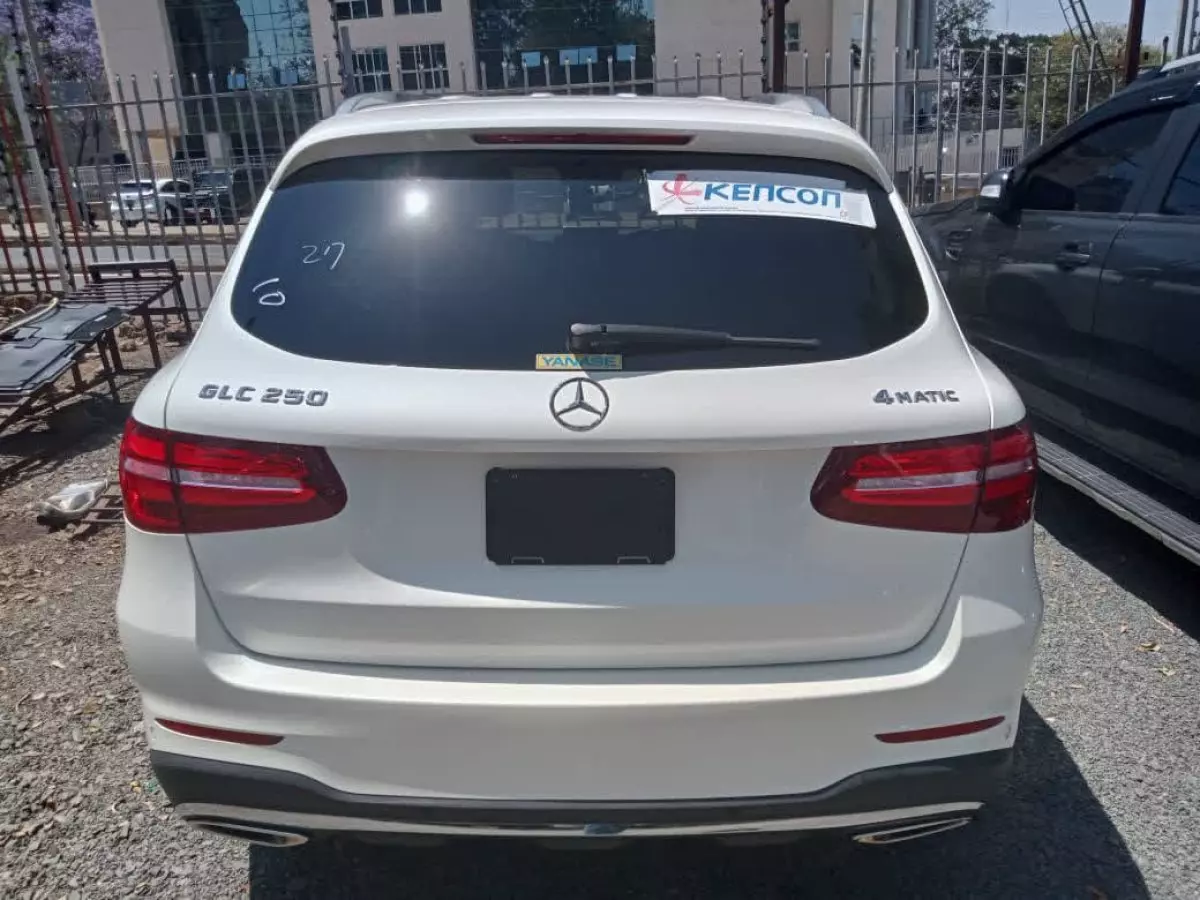 car Back
