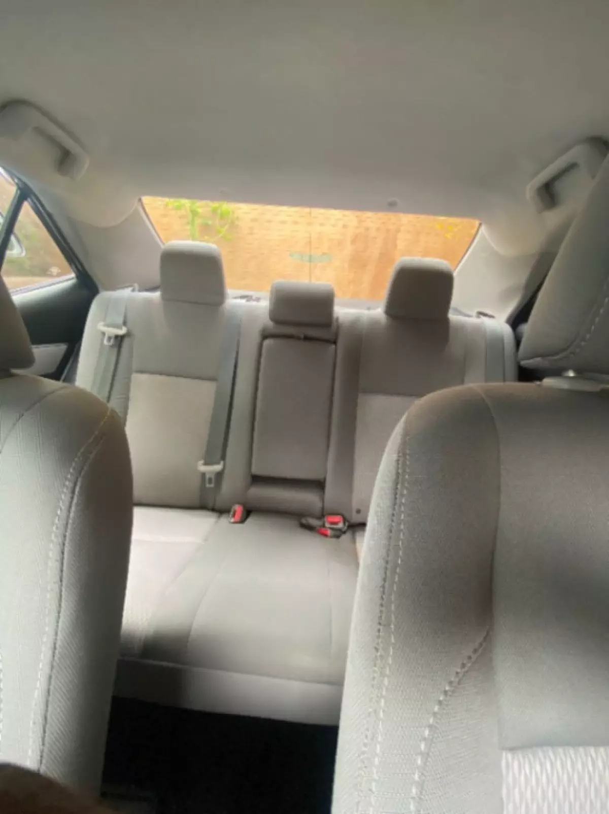 interiorBack