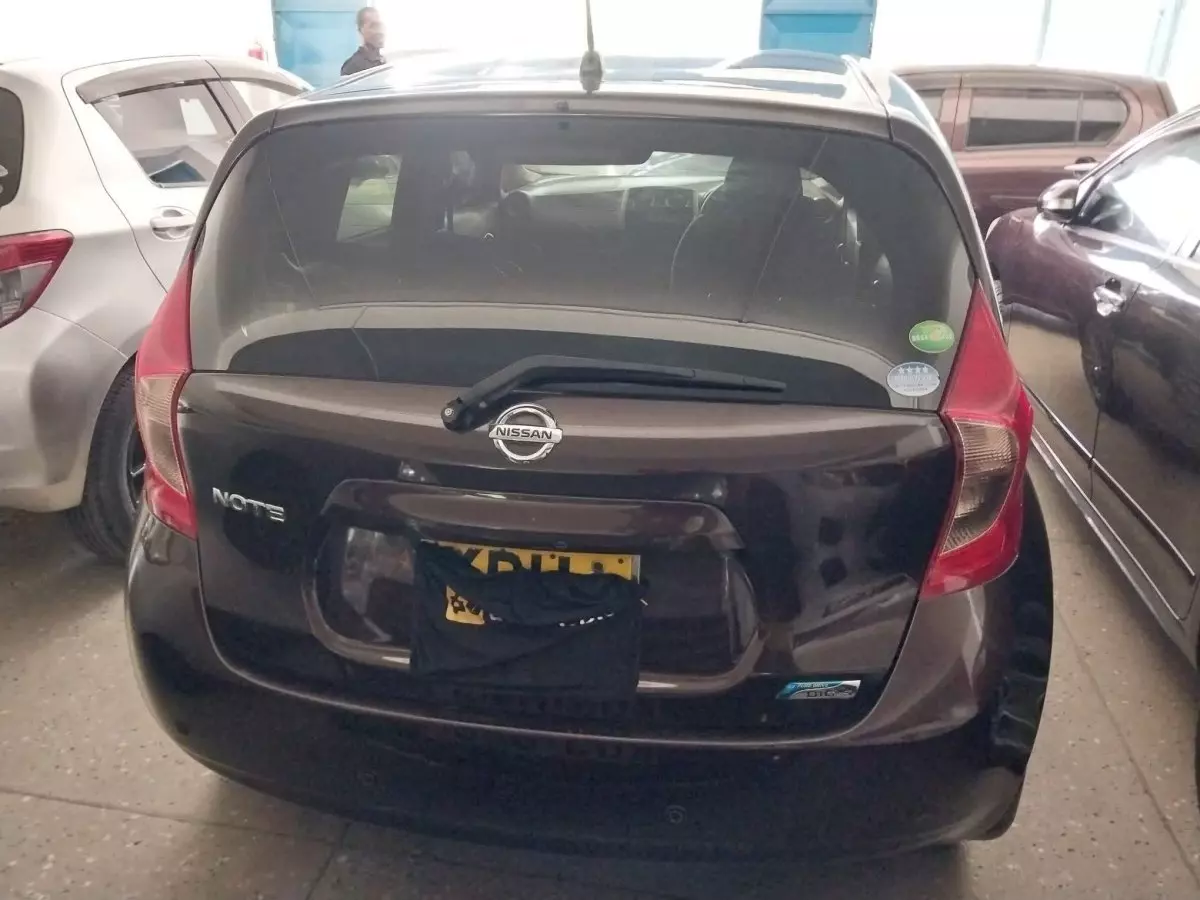 car Back