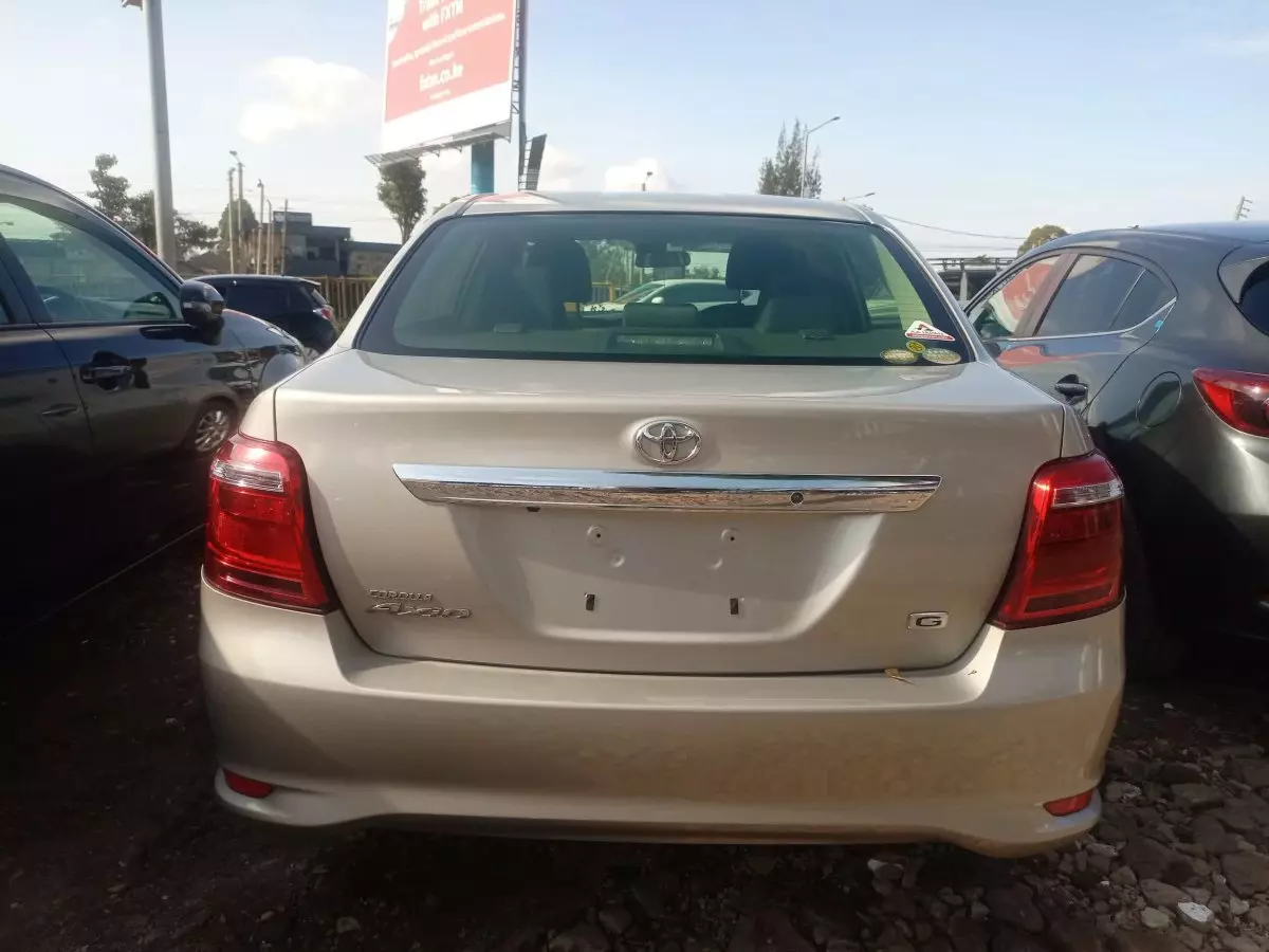 car Back
