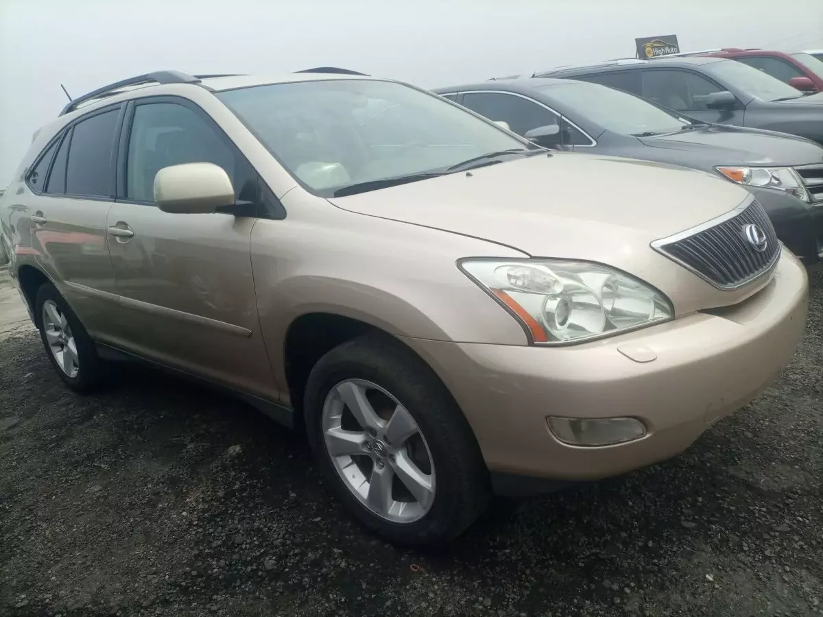 Lexus RX 330 - 2006