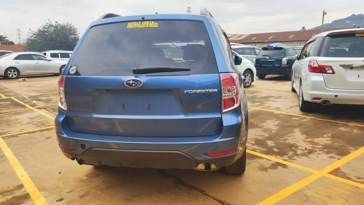 car Back