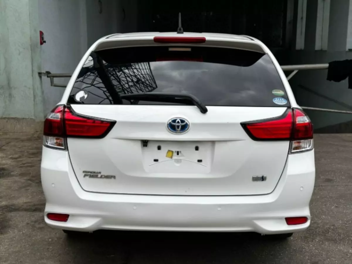 back