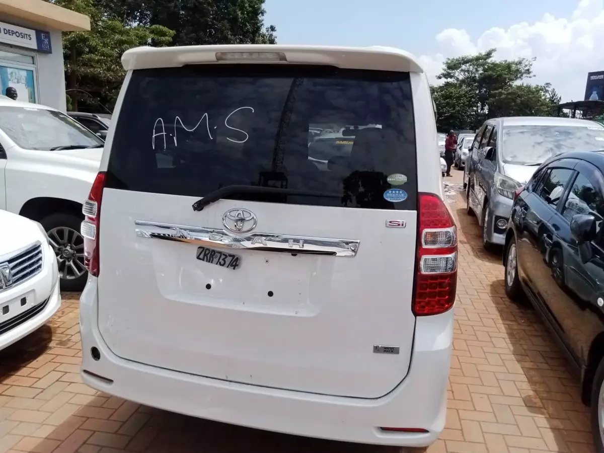 car Back