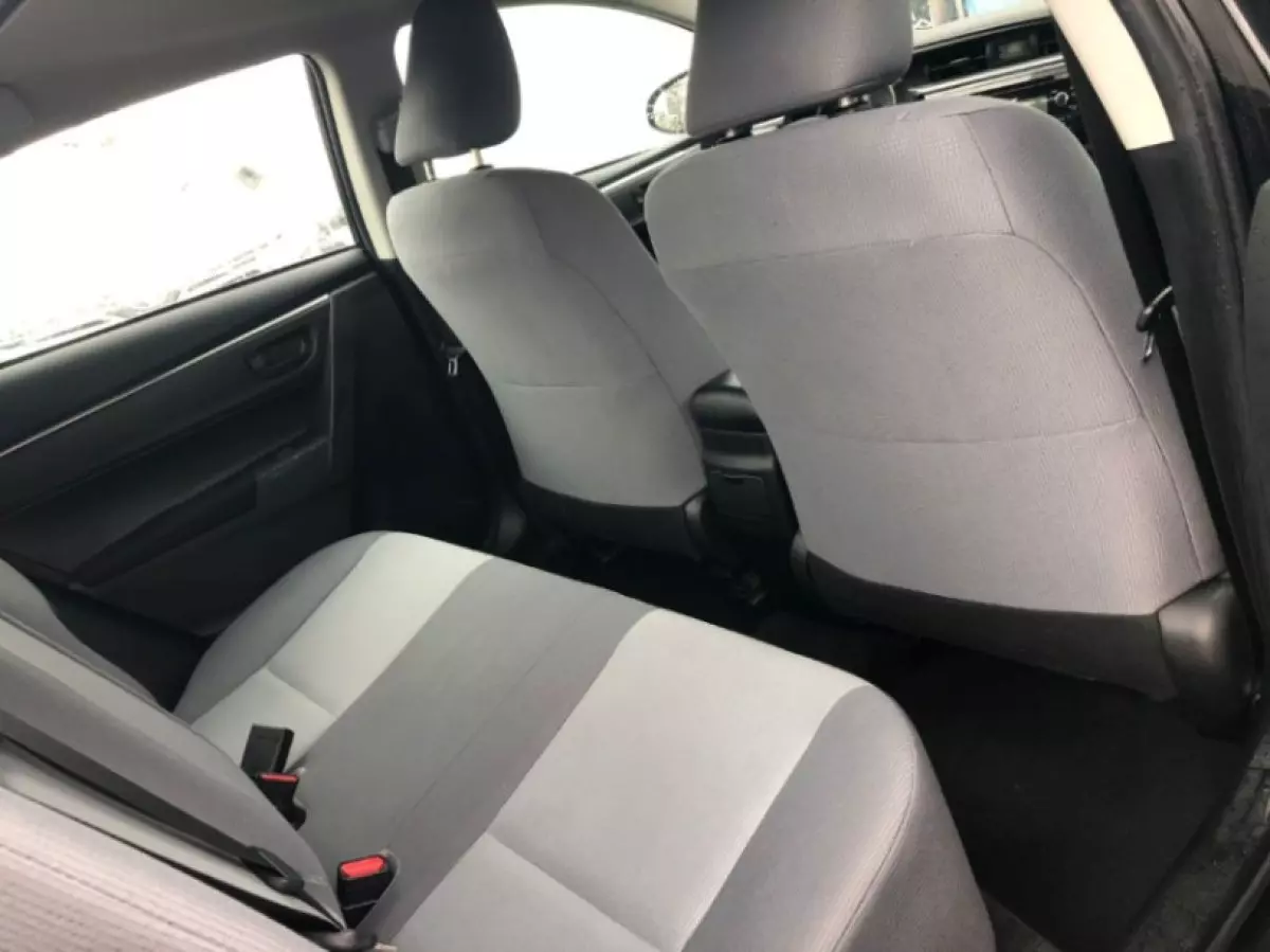 interiorBack