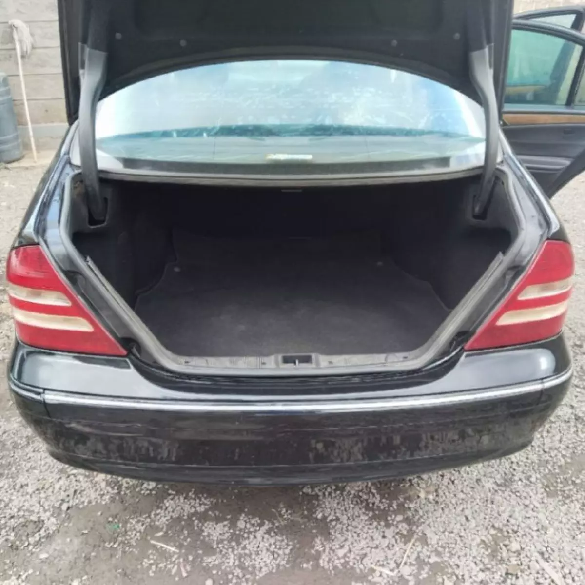 back