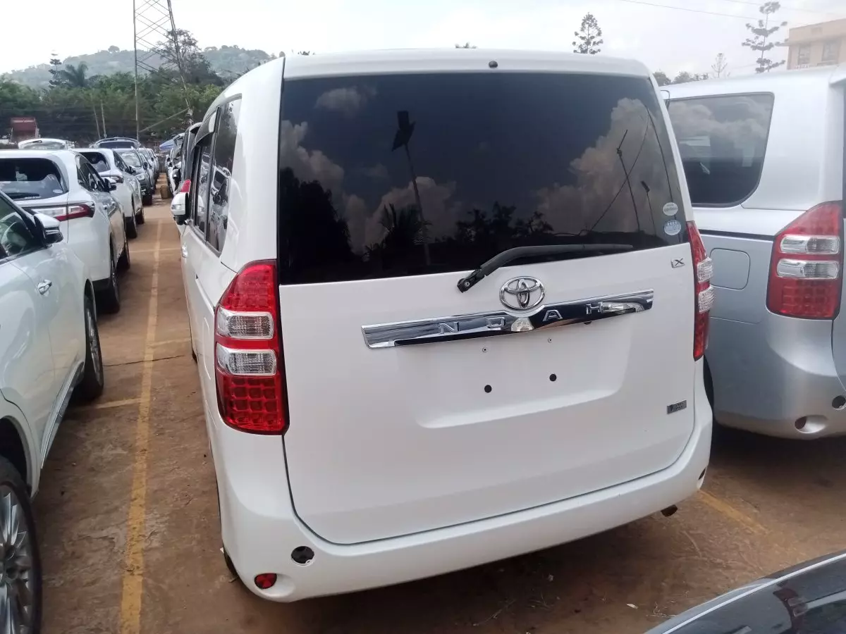 car Back