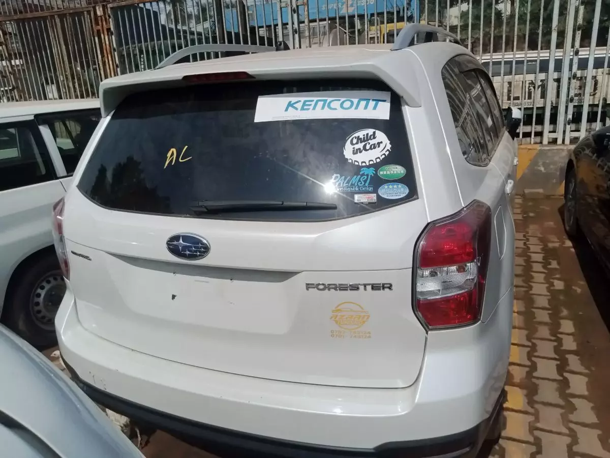car Back