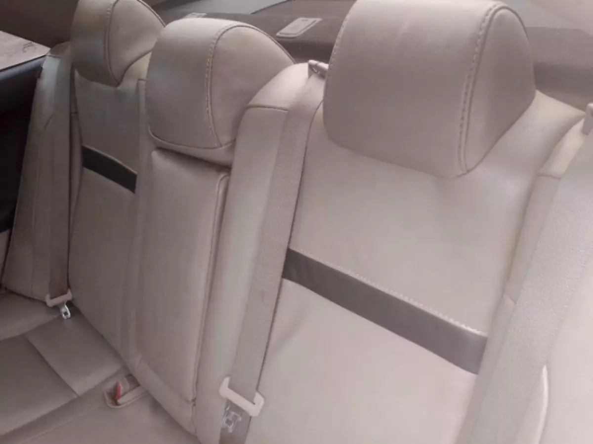 interiorBack