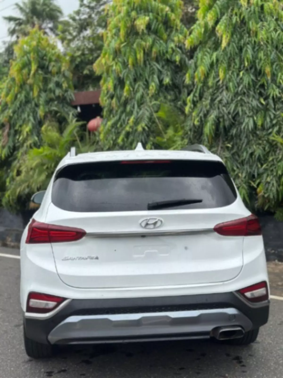 back