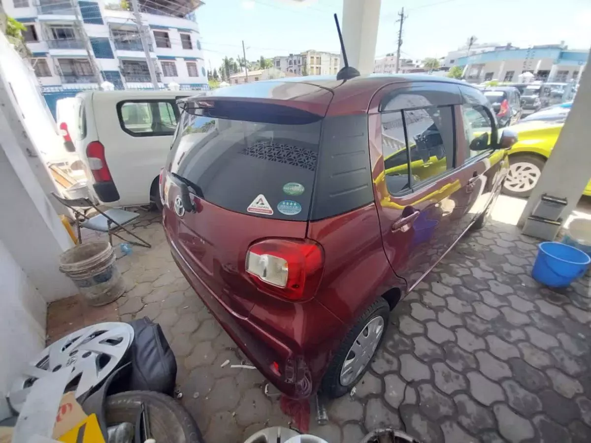 car Back