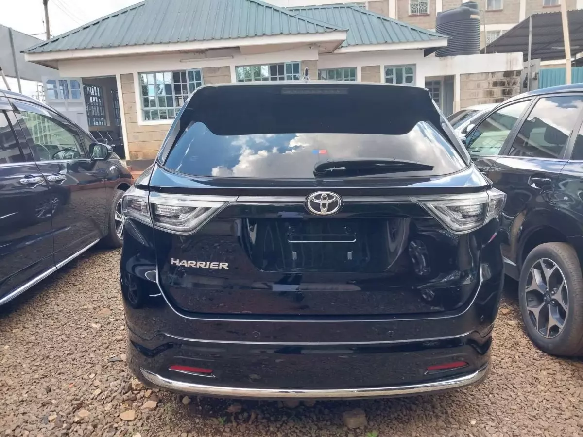car Back