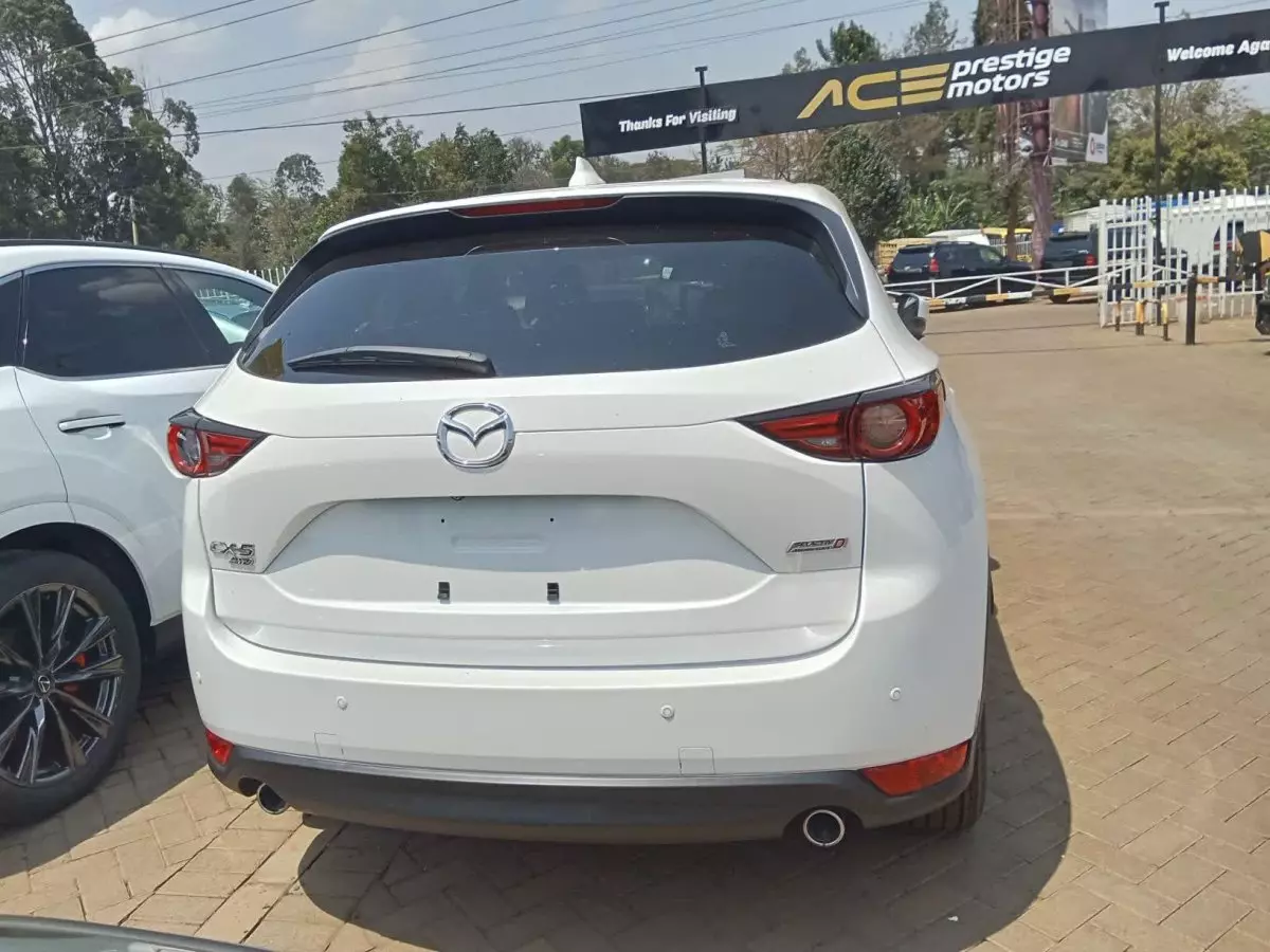 car Back