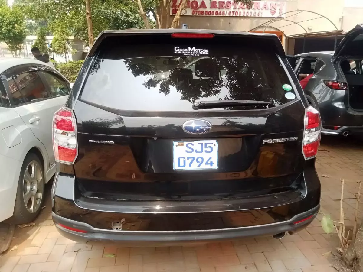 car Back