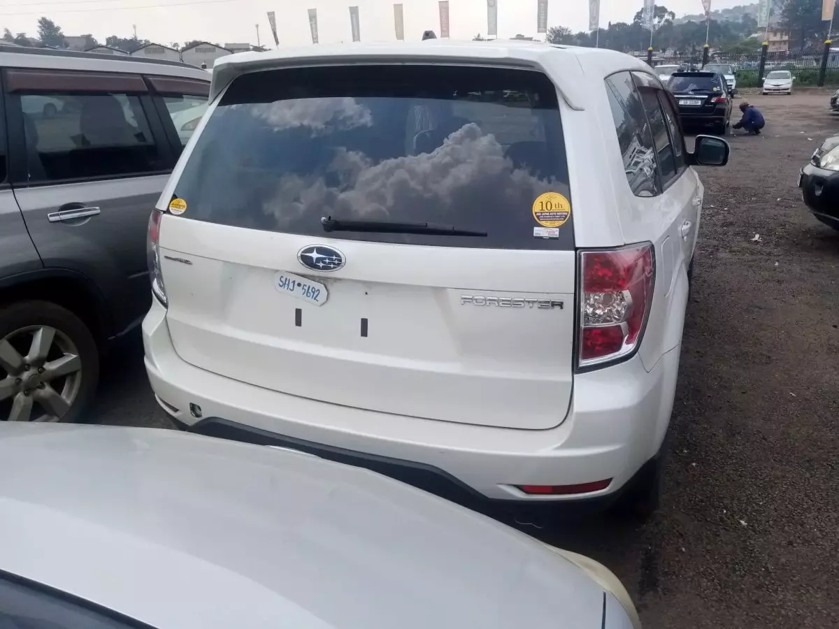 car Back