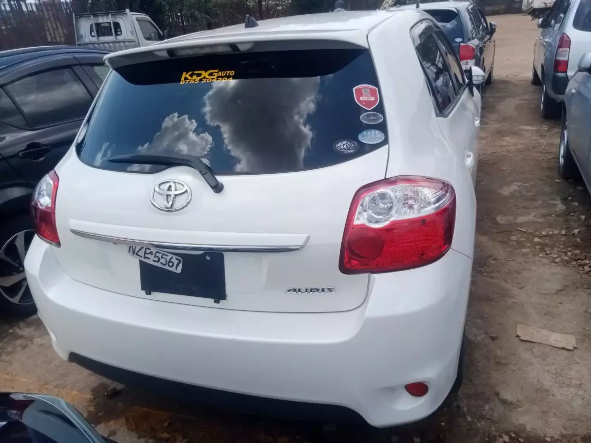 car Back
