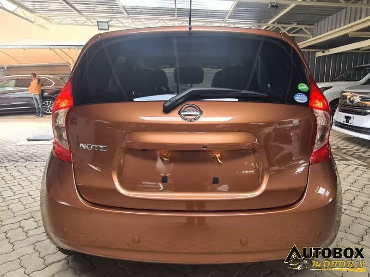 car Back