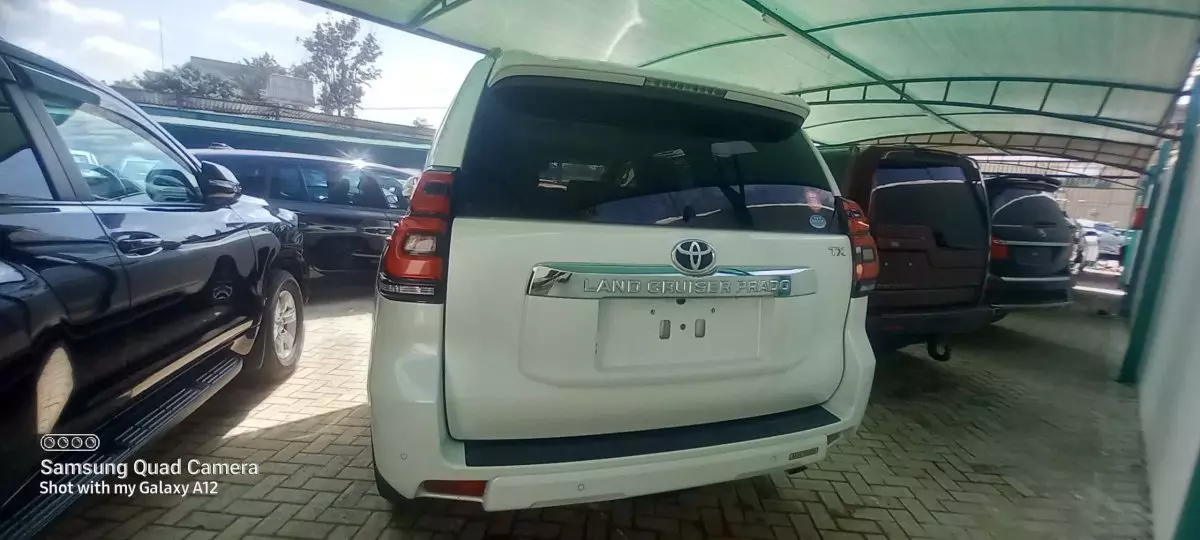 car Back