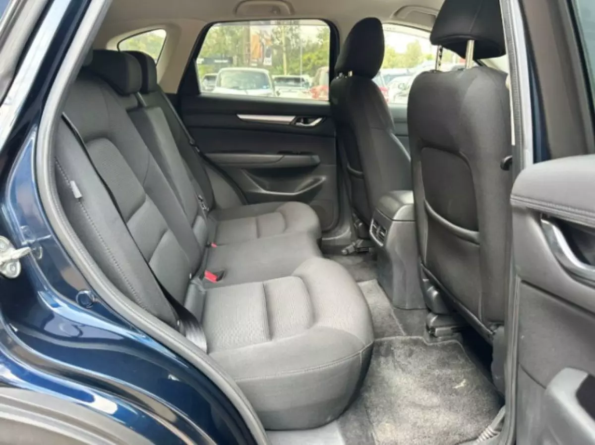 interiorBack