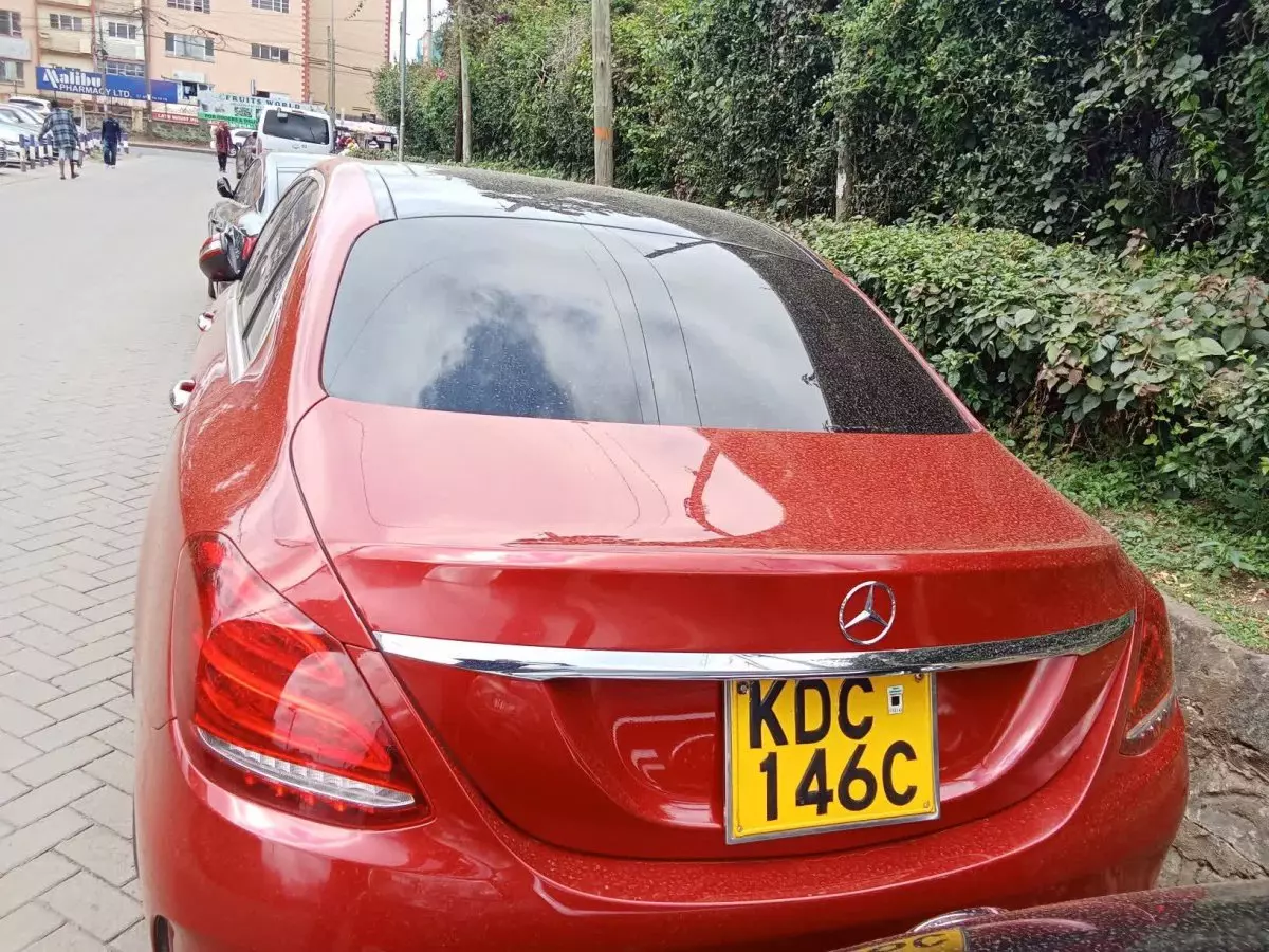 car Back