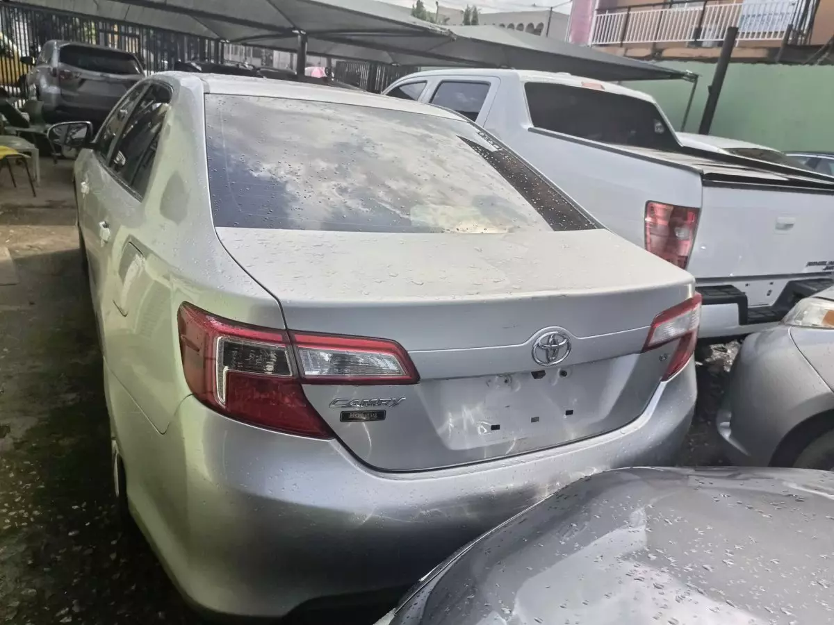 car Back
