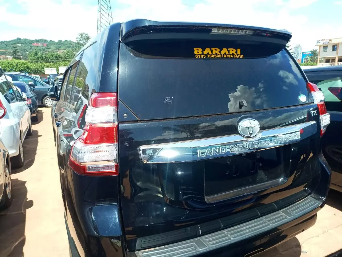 car Back
