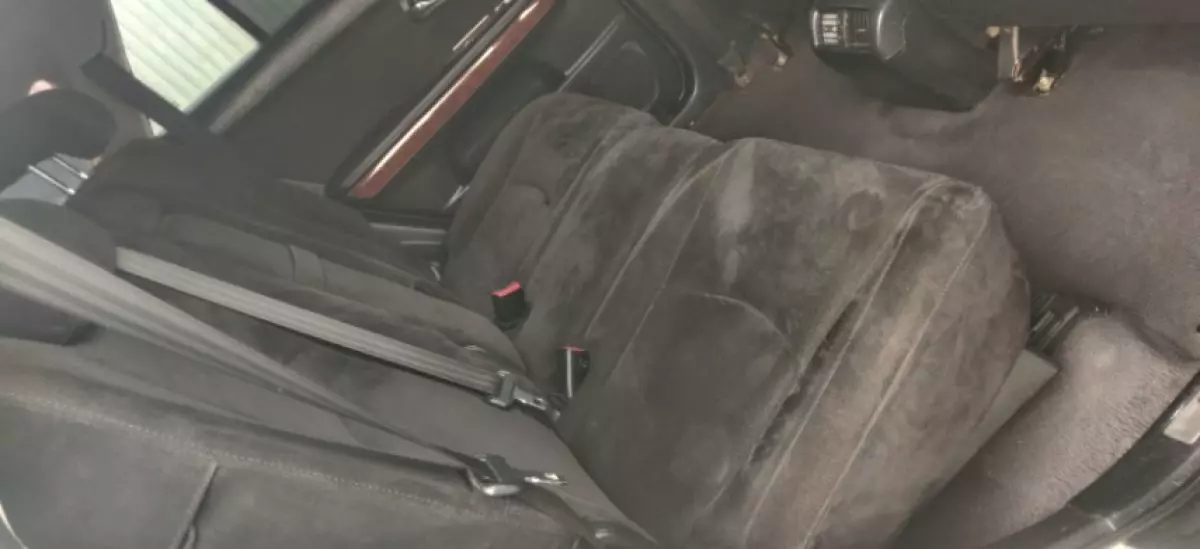 interiorBack