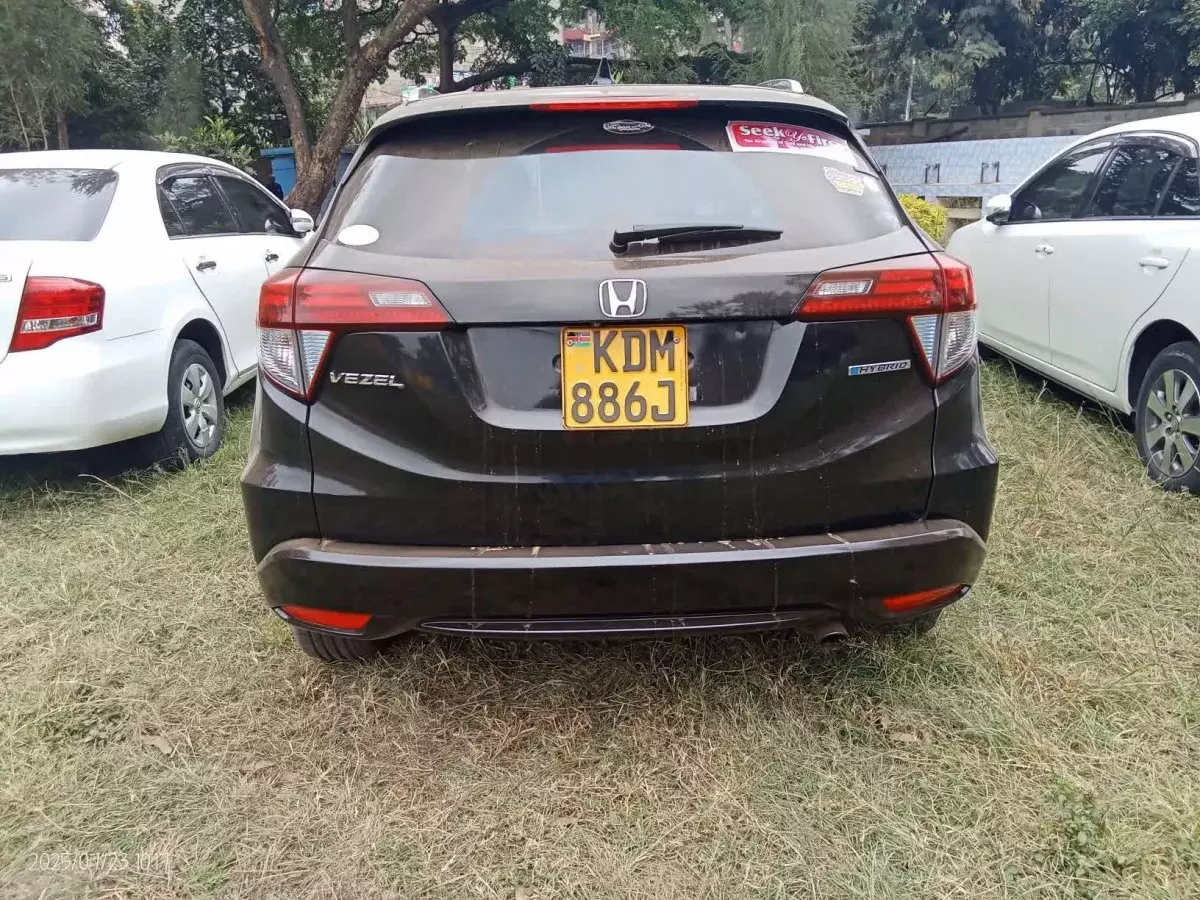 car Back